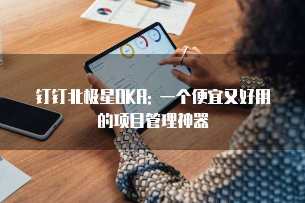 钉钉北极星OKR: 一个便宜又好用的项目管理神器