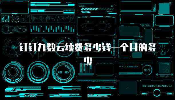 钉钉九数云续费多少钱一个月的多少