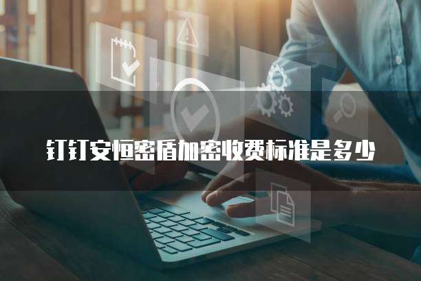 钉钉安恒密盾加密收费标准是多少
