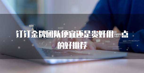 钉钉金牌团队便宜还是贵好用一点的好推荐