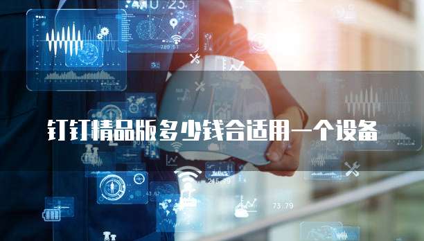 钉钉精品版多少钱合适用一个设备