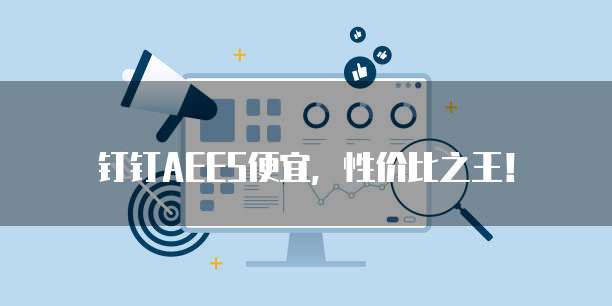 钉钉AEES便宜，性价比之王！