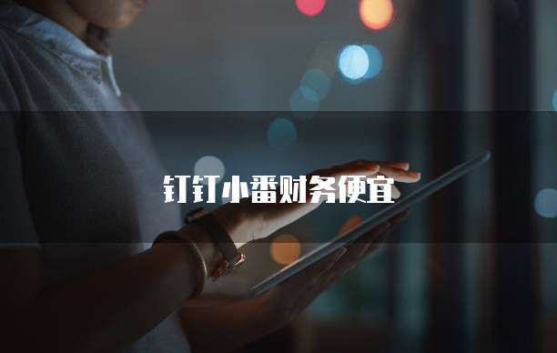 钉钉小番财务便宜