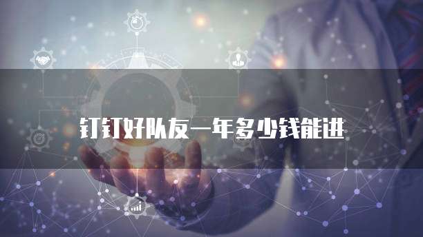 钉钉好队友一年多少钱能进