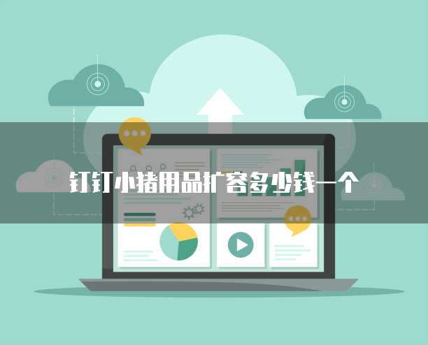 钉钉小猪用品扩容多少钱一个