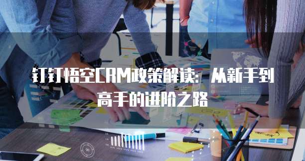 钉钉悟空CRM政策解读：从新手到高手的进阶之路