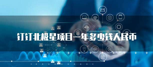 钉钉北极星项目一年多少钱人民币