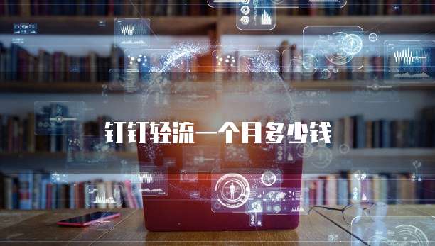 钉钉轻流一个月多少钱
