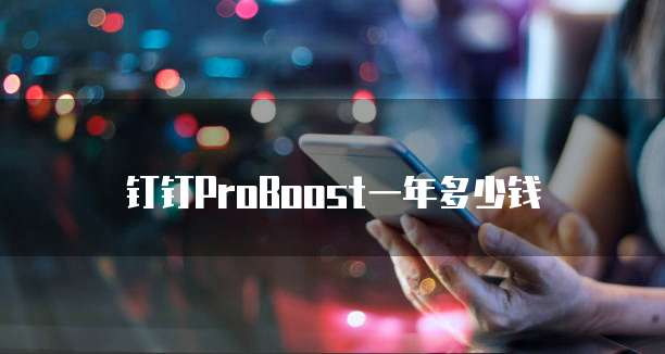 钉钉ProBoost一年多少钱