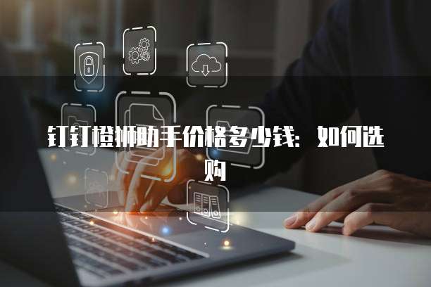 钉钉橙狮助手价格多少钱：如何选购