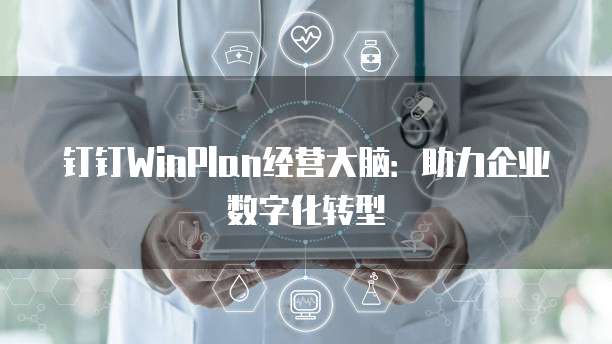 钉钉WinPlan经营大脑：助力企业数字化转型