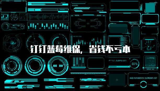 钉钉蓝莓维保，省钱不亏本