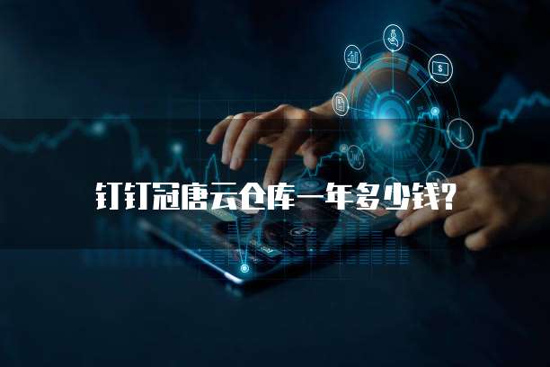 钉钉冠唐云仓库一年多少钱？