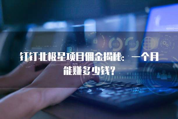 钉钉北极星项目佣金揭秘:一个月能赚多少钱?