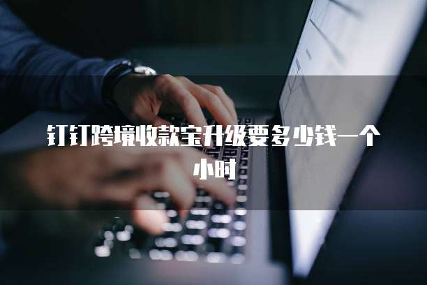 钉钉跨境收款宝升级要多少钱一个小时