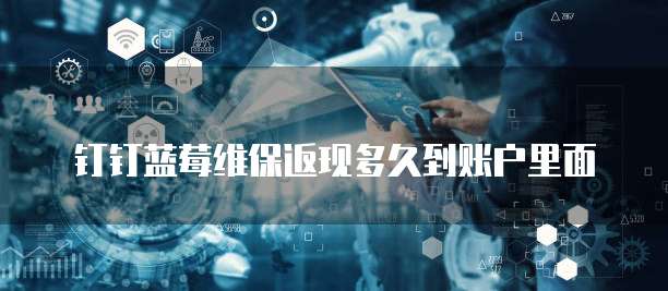 钉钉蓝莓维保返现多久到账户里面