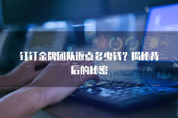 钉钉金牌团队返点多少钱?揭秘背后的秘密