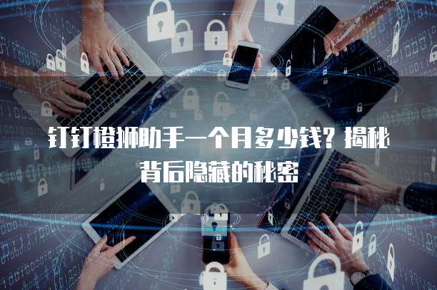 钉钉橙狮助手一个月多少钱?揭秘背后隐藏的秘密