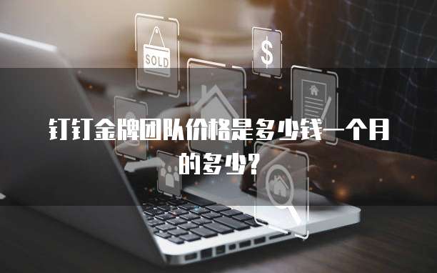 钉钉金牌团队价格是多少钱一个月的多少？