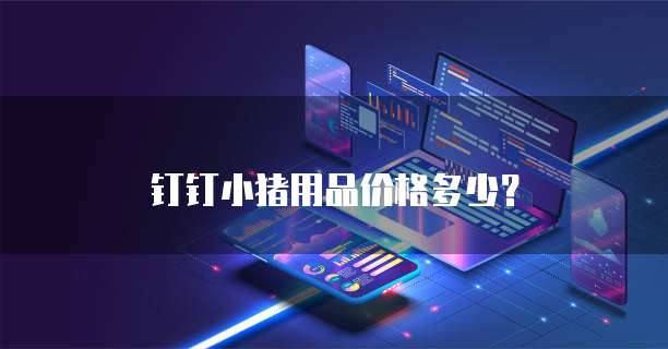 钉钉小猪用品价格多少？