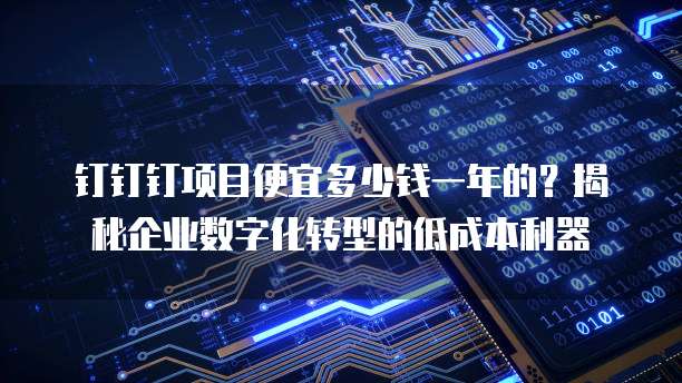 钉钉钉项目便宜多少钱一年的?揭秘企业数字化转型的低成本利器