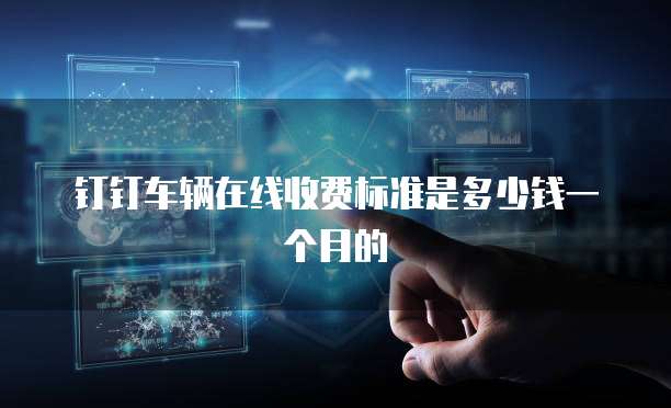 钉钉车辆在线收费标准是多少钱一个月的