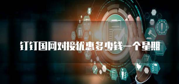 钉钉国网对接优惠多少钱一个星期