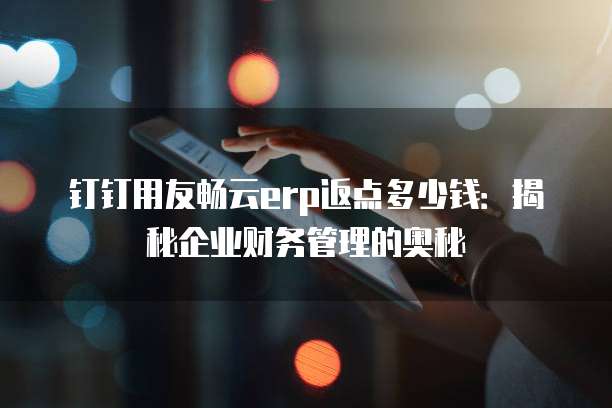 钉钉用友畅云erp返点多少钱:揭秘企业财务管理的奥秘