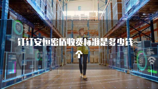 钉钉安恒密盾收费标准是多少钱一个
