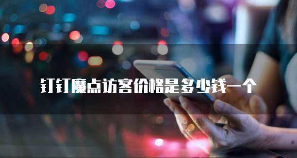 钉钉魔点访客价格是多少钱一个