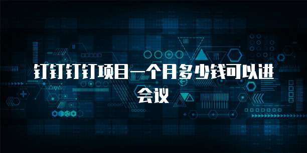 钉钉钉钉项目一个月多少钱可以进会议