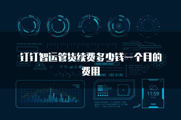 钉钉智运管货续费多少钱一个月的费用