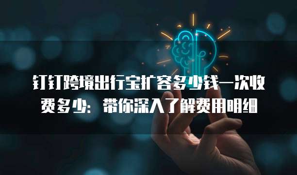 钉钉跨境出行宝扩容多少钱一次收费多少:带你深入了解费用明细