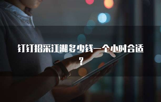 钉钉招采江湖多少钱一个小时合适？