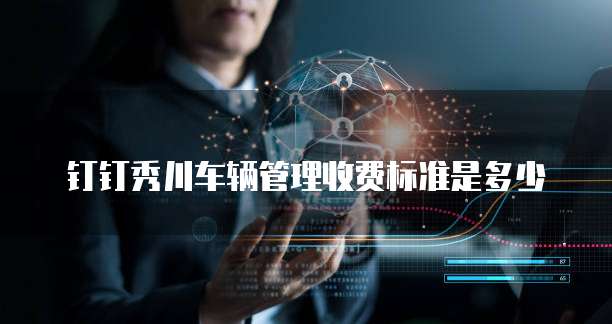 钉钉秀川车辆管理收费标准是多少