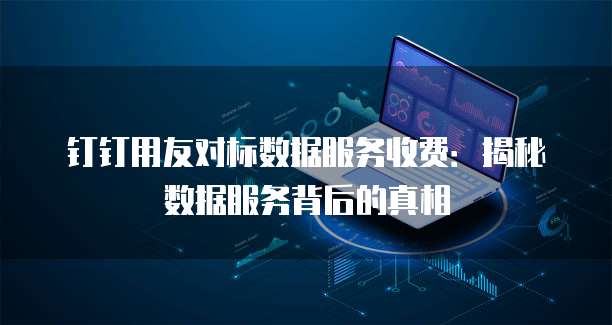 钉钉用友对标数据服务收费：揭秘数据服务背后的真相