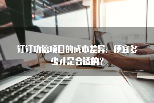 钉钉功倍项目的成本差异:便宜多少才是合适的?