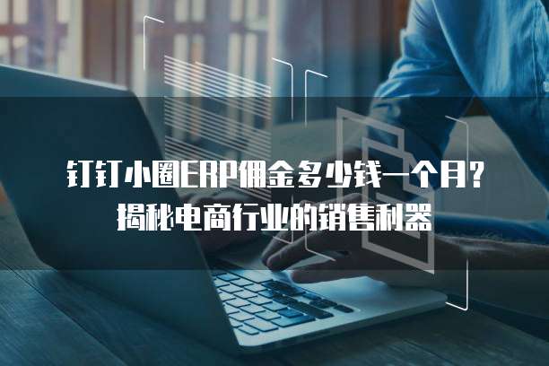 钉钉小圈ERP佣金多少钱一个月？揭秘电商行业的销售利器