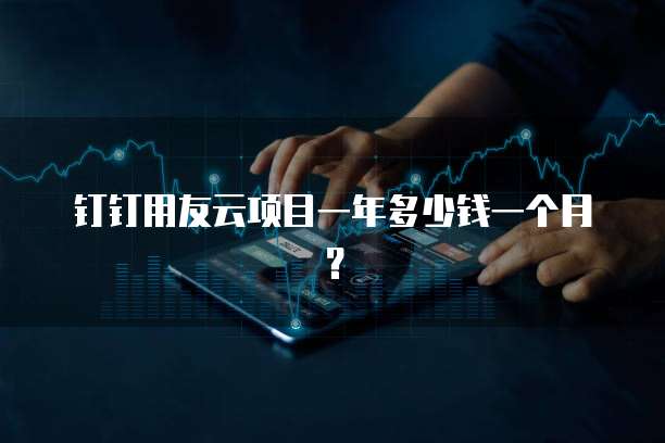 钉钉用友云项目一年多少钱一个月?