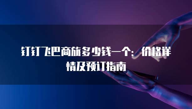 钉钉飞巴商旅多少钱一个：价格详情及预订指南