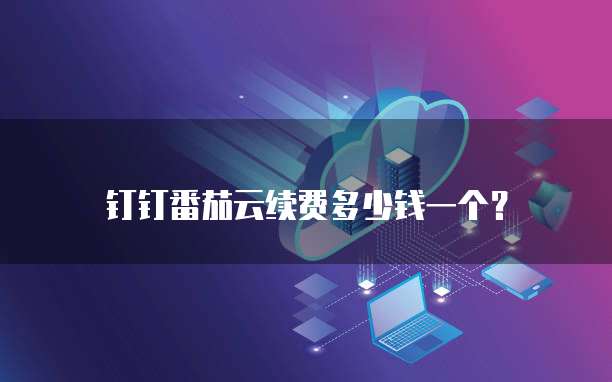 钉钉番茄云续费多少钱一个？