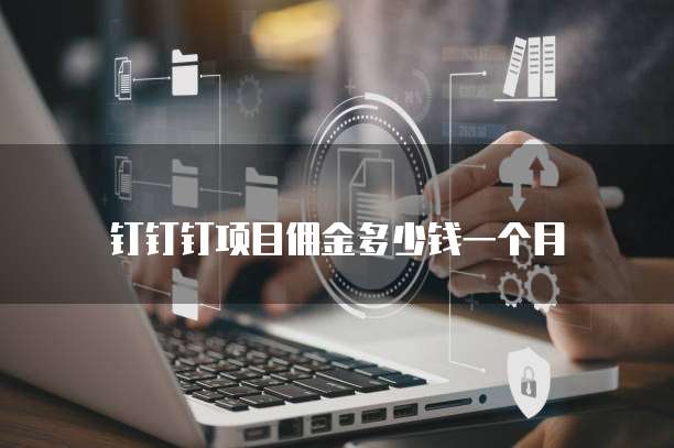 钉钉钉项目佣金多少钱一个月