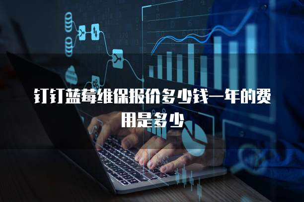 钉钉蓝莓维保报价多少钱一年的费用是多少