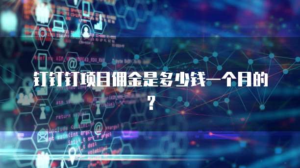 钉钉钉项目佣金是多少钱一个月的？