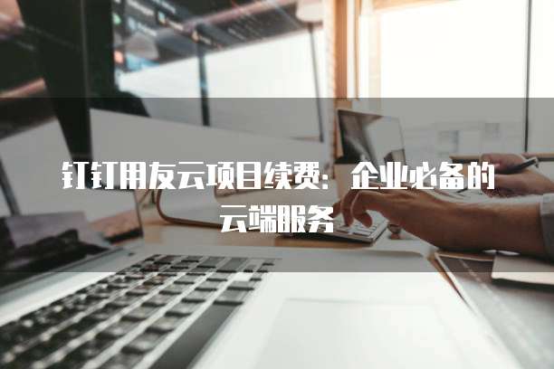 钉钉用友云项目续费：企业必备的云端服务