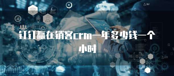 钉钉赢在销客crm一年多少钱一个小时