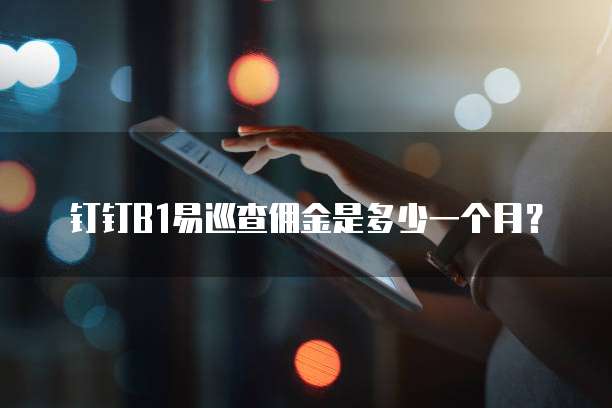 钉钉B1易巡查佣金是多少一个月?