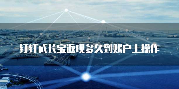 钉钉成长宝返现多久到账户上操作