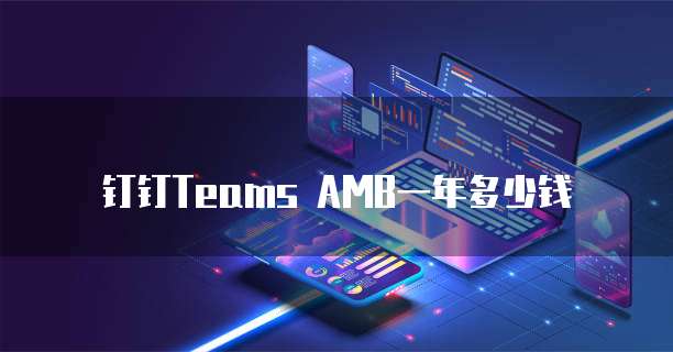 钉钉Teams AMB一年多少钱