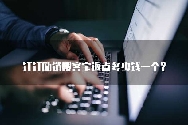 钉钉励销搜客宝返点多少钱一个？